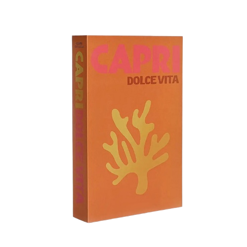 Livres Homestory™ Décoratifs gardiens de vos souvenirs ✨
